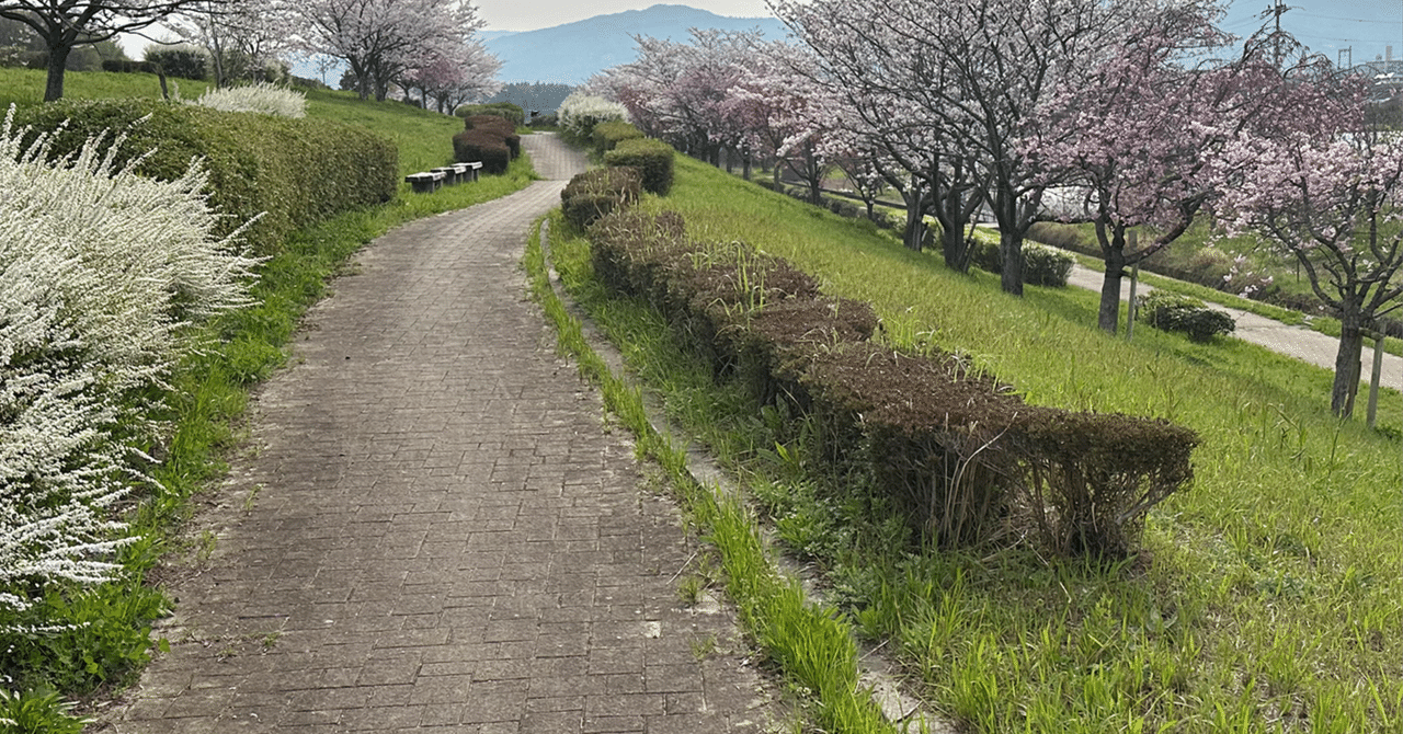 The Artwork of This Album Was Photographed at Tanabe-Kizugawa Tsutsumi Green Space