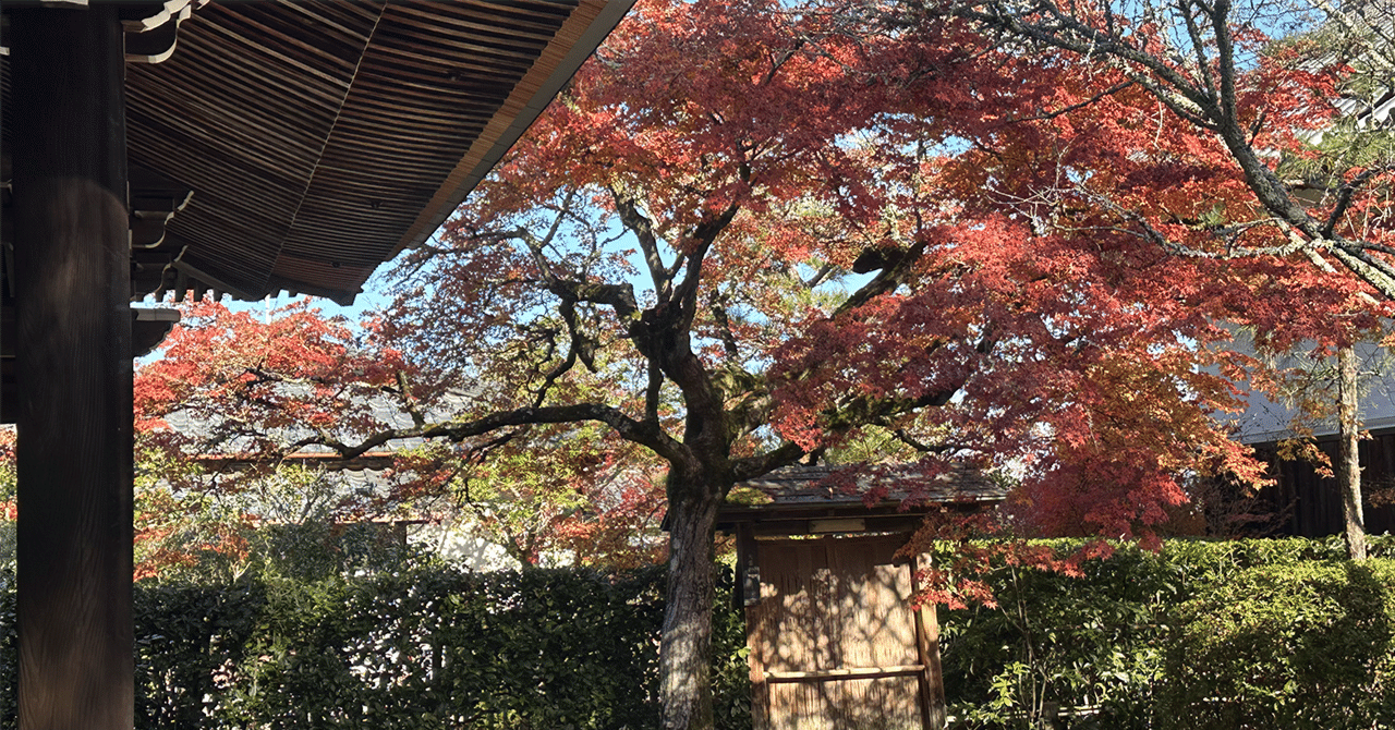Autumn Leaves at Ikkyu-ji Temple
