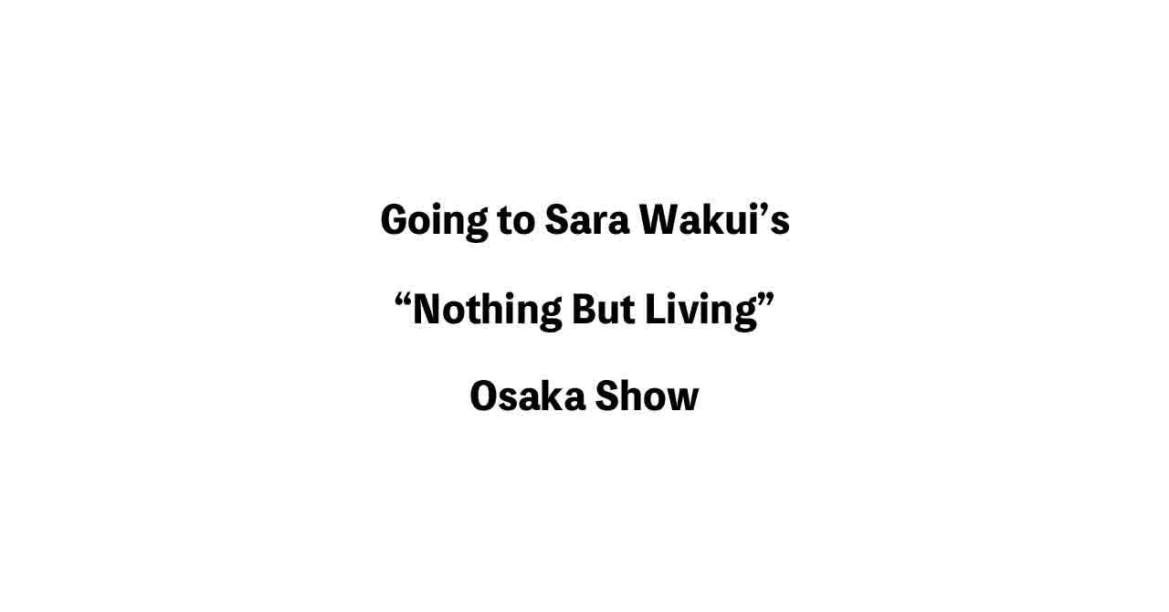 Sara Wakui Nothing But Living Osaka show